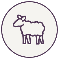 Merino wool icon